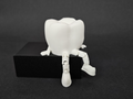 Molar Buddy